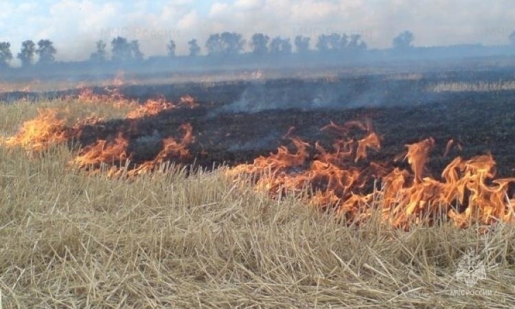 Пожар в с.п.Экажево — МЧС России по Республике Ингушетия